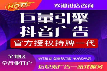 谷歌SEM广告策略：某电商平台的成功逆袭案例